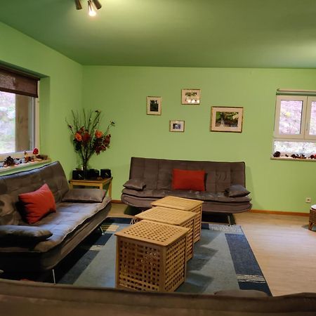 Ferienhaus Route 5 Elmstein Kültér fotó